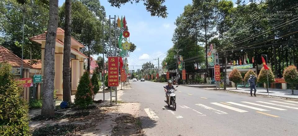 Cần ra lô đất đẹp cạnh trường học thuộc xã an long, tp. hcm. sổ hồng riêng giá 520 triệu