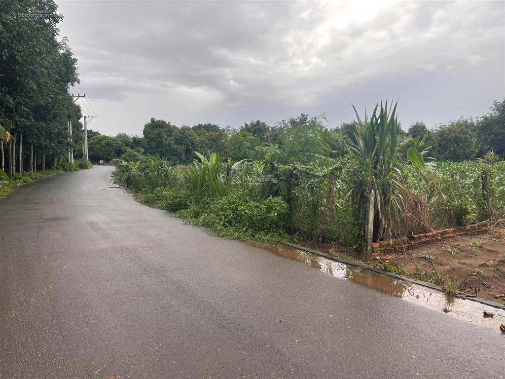 Ngộp bank cần ra gấp lô đất đẹp nằm cách chợ an thái 400m, diện tích 300m2 có thổ cư giá 450 triệu