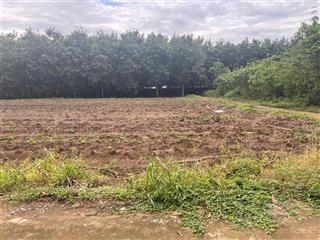 Cần bán lô đất gần trục đường tạo lực bắc tân uyên  phú giáo  bình dương giá 560 triệu shr