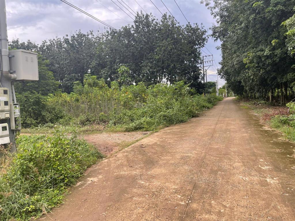 Cần bán lô đất gần trục đường tạo lực bắc tân uyên  phú giáo  bình dương giá 560 triệu shr