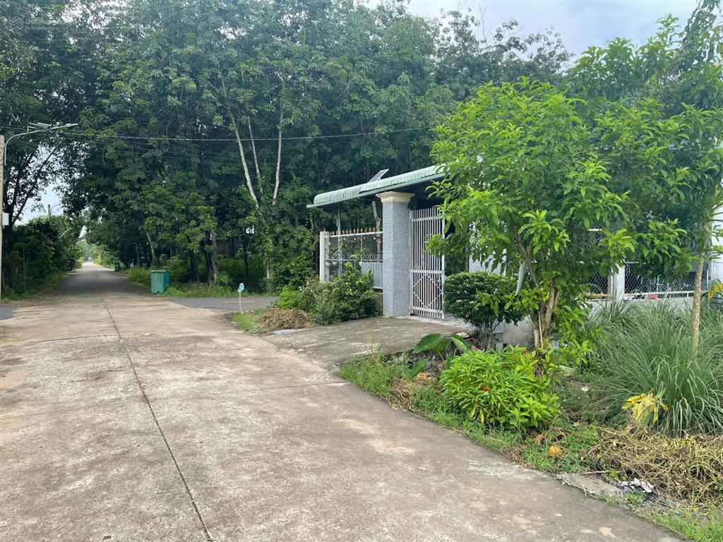 Ngộp bank cần ra gấp lô đất thổ cư gần đường tạo lực bắc tân uyên  phú giáo bình dương. 520 triệu