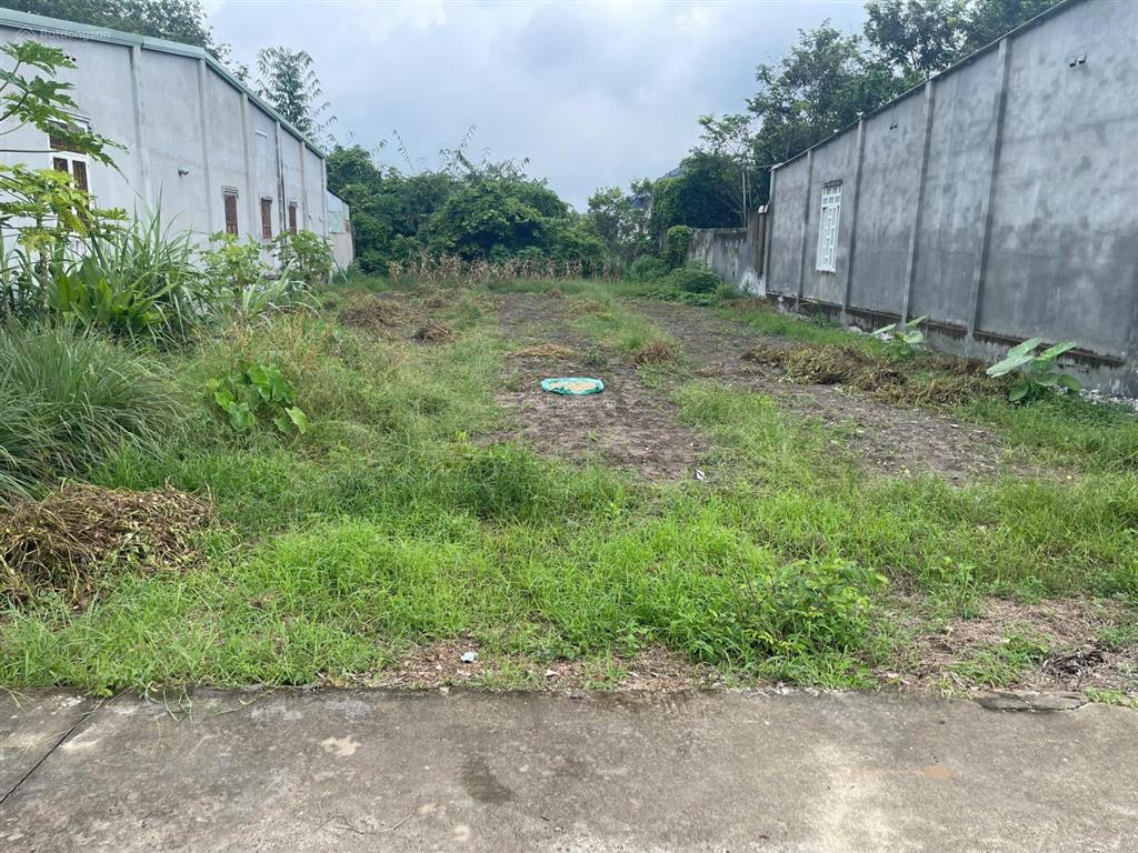 Ngộp bank cần ra gấp lô đất thổ cư gần đường tạo lực bắc tân uyên  phú giáo bình dương. 520 triệu