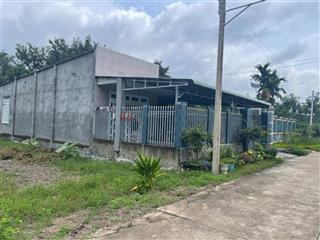 Ngộp bank cần ra gấp lô đất thổ cư gần đường tạo lực bắc tân uyên  phú giáo bình dương. 520 triệu