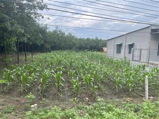 Cần bán lô đất đẹp mặt tiền dh504 ngay trung tâm xã phước thành, tp.hcm giá 530 triệu sổ hồng riêng