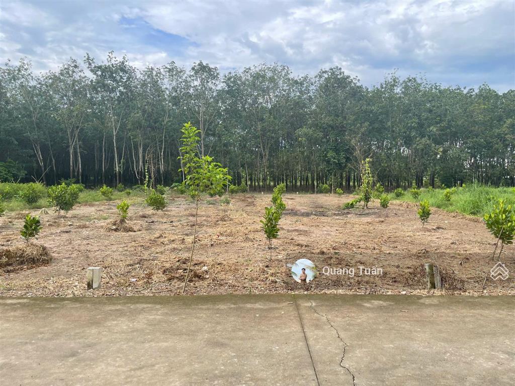 Ngộp bank cần ra lô đất đối diện trường học thuộc xã phước thành, tp.hcm giá 450 triệu