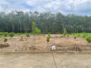 Ngộp bank cần ra lô đất đối diện trường học thuộc xã phước thành, tp.hcm giá 450 triệu