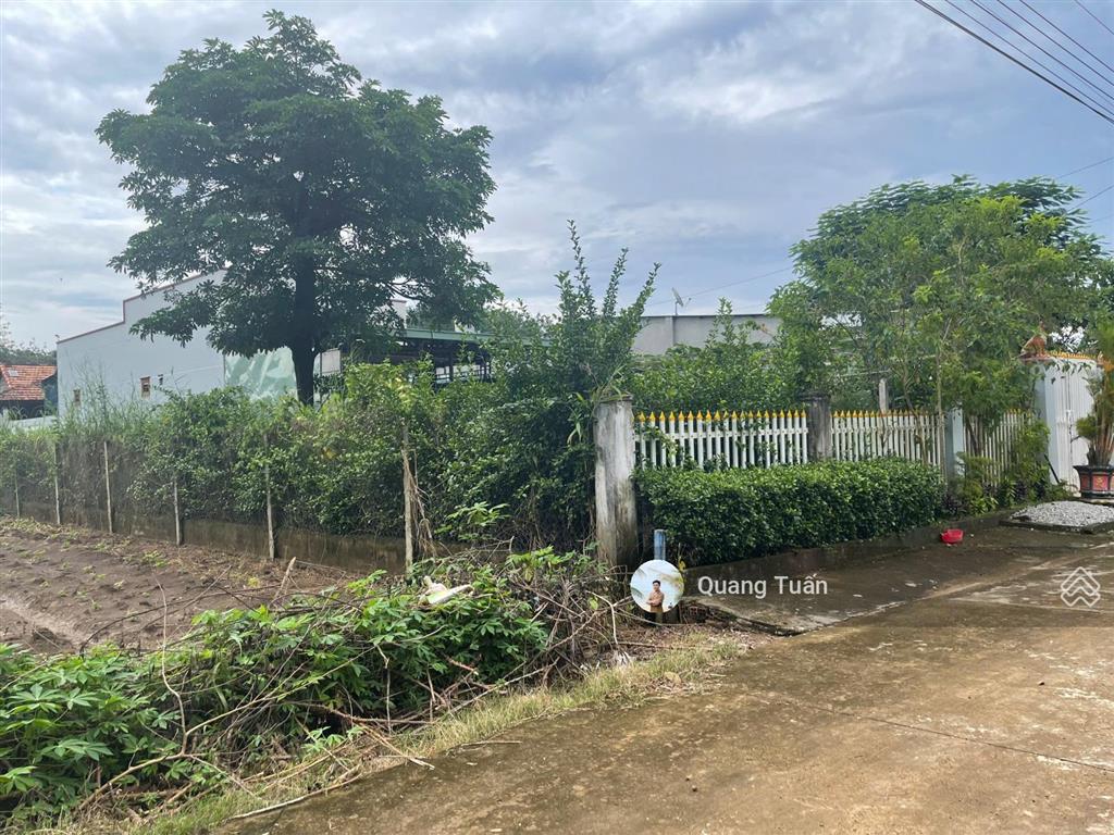 Ngộp bank cần ra gấp lô đất đẹp đối diện trường học, cách ubnd tân hiệp chỉ 500m giá 450 triệu. shr