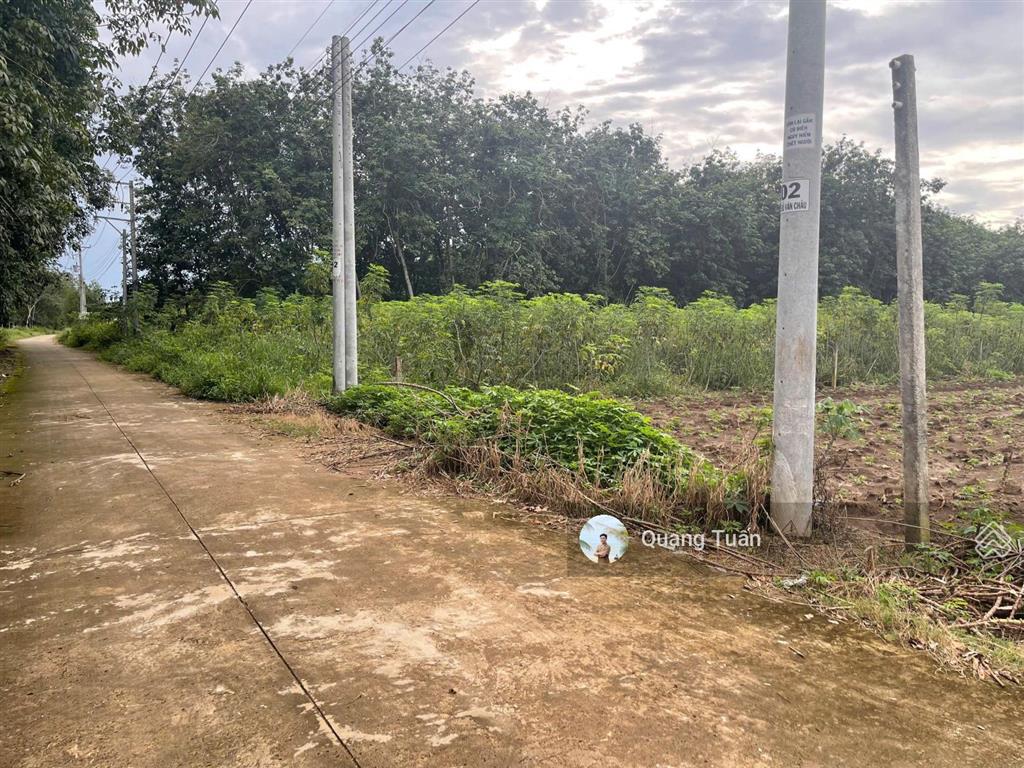 Ngộp bank cần ra gấp lô đất đẹp đối diện trường học, cách ubnd tân hiệp chỉ 500m giá 450 triệu. shr