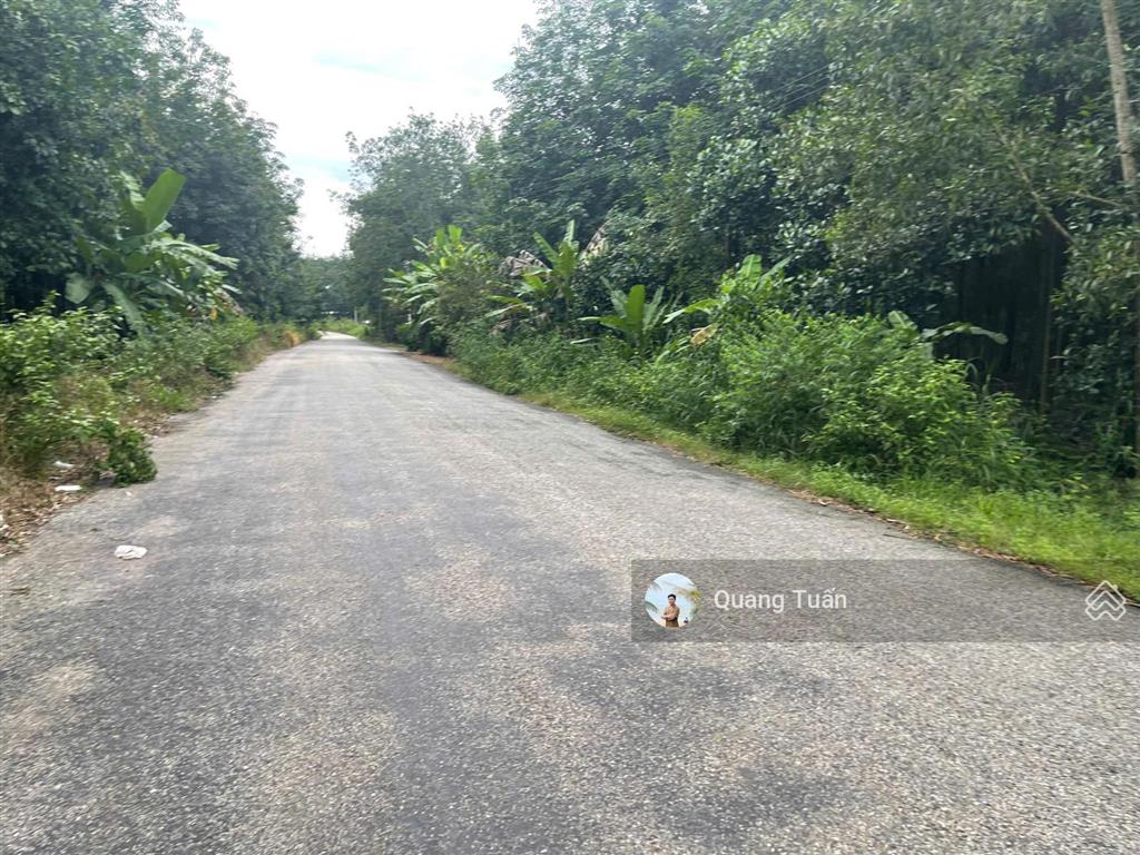 Cần bán 434,3m² đất thổ cư mặt tiền đường dh504, khu dân cư hiện hữu, sầm uất, shr