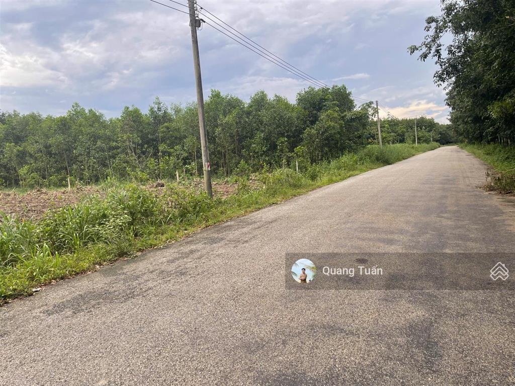 Cần bán 434,3m² đất thổ cư mặt tiền đường dh504, khu dân cư hiện hữu, sầm uất, shr