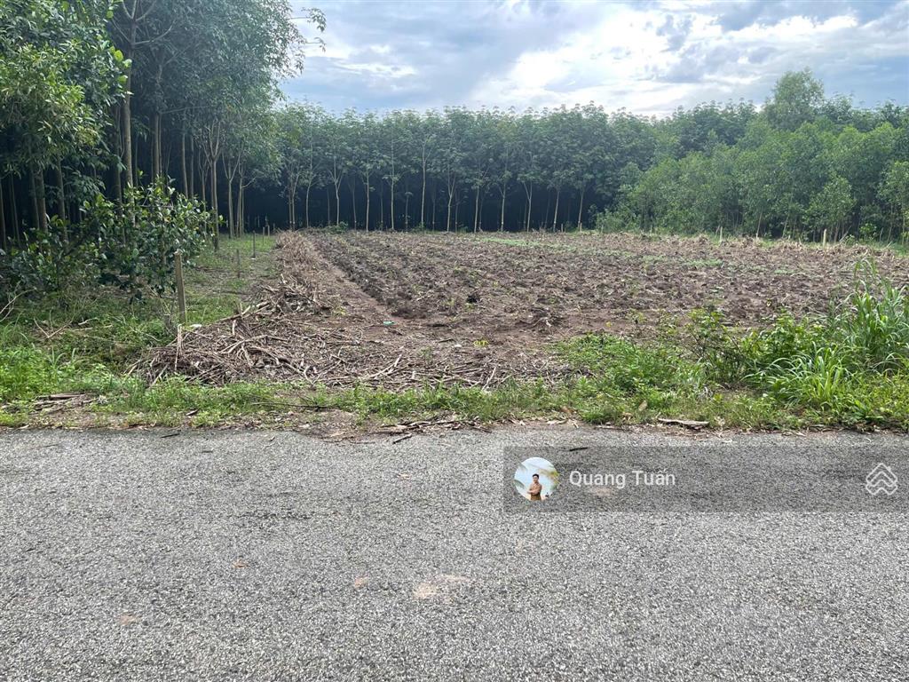 Cần bán 434,3m² đất thổ cư mặt tiền đường dh504, khu dân cư hiện hữu, sầm uất, shr