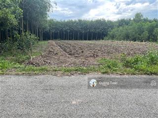 Cần bán 434,3m² đất thổ cư mặt tiền đường dh504, khu dân cư hiện hữu, sầm uất, shr