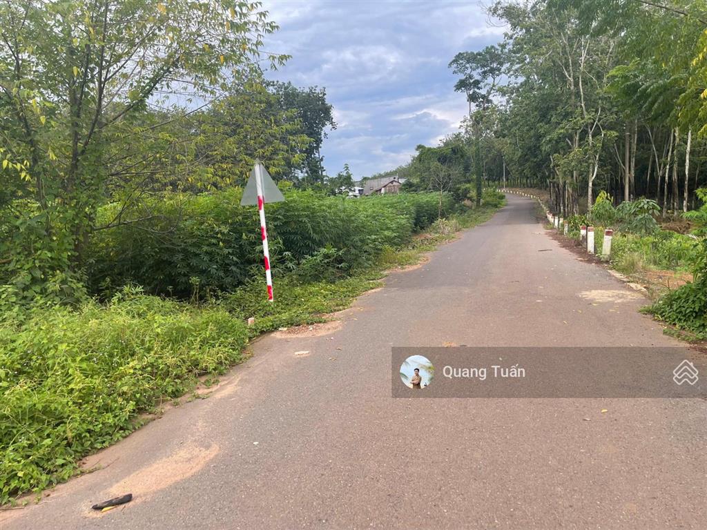 Ngộp bank cần ra gấp lô đất đẹp cạnh ubnd tân hiệp 530 triệu, khu dân cư hiện hữu, sổ hồng riêng