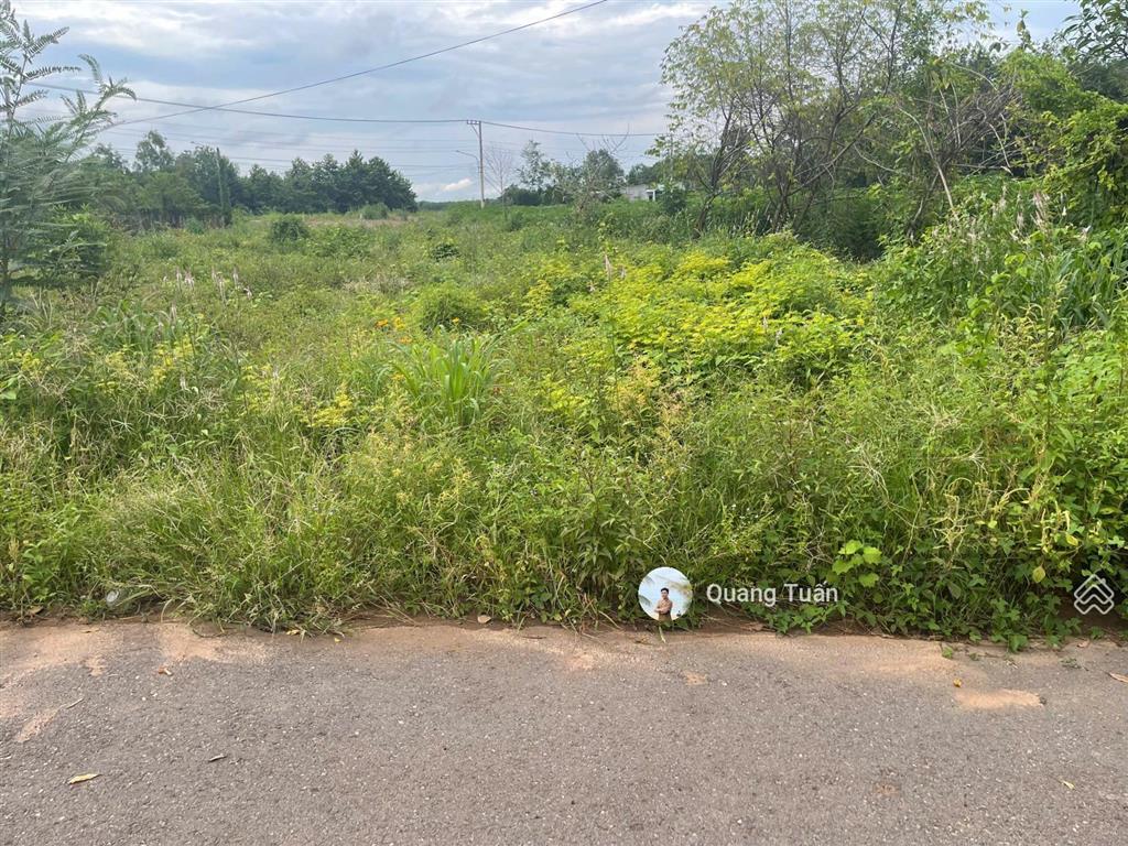 Ngộp bank cần ra gấp lô đất đẹp cạnh ubnd tân hiệp 530 triệu, khu dân cư hiện hữu, sổ hồng riêng