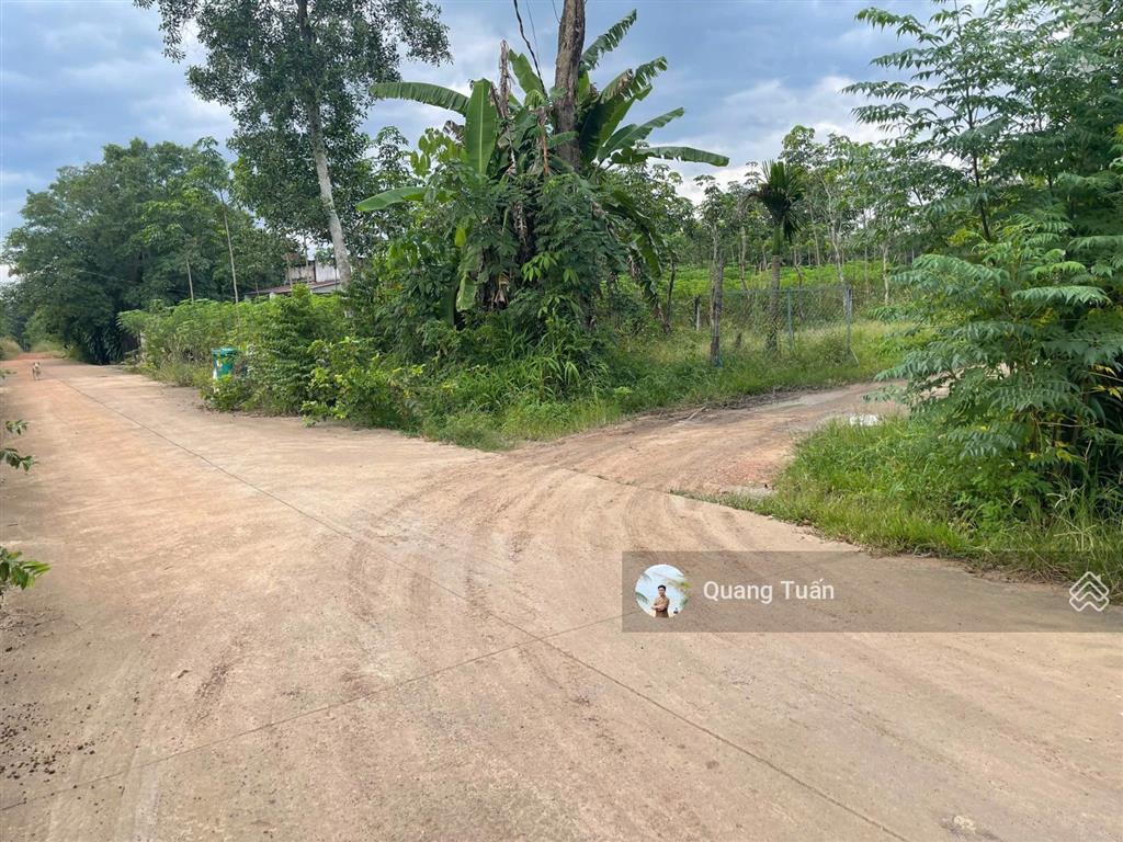 Cần ra lô đất đẹp nằm đối diện ubnd tân hiệp, nay thuộc phước thành, tp. hcm giá chỉ 390 triệu