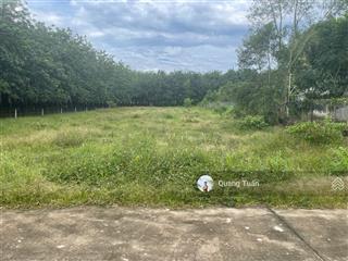 Cần bán lô đất 345,4m2 gần chợ an linh, dân cư đông, giá 430 triệu còn thương lượng, sổ hồng riêng