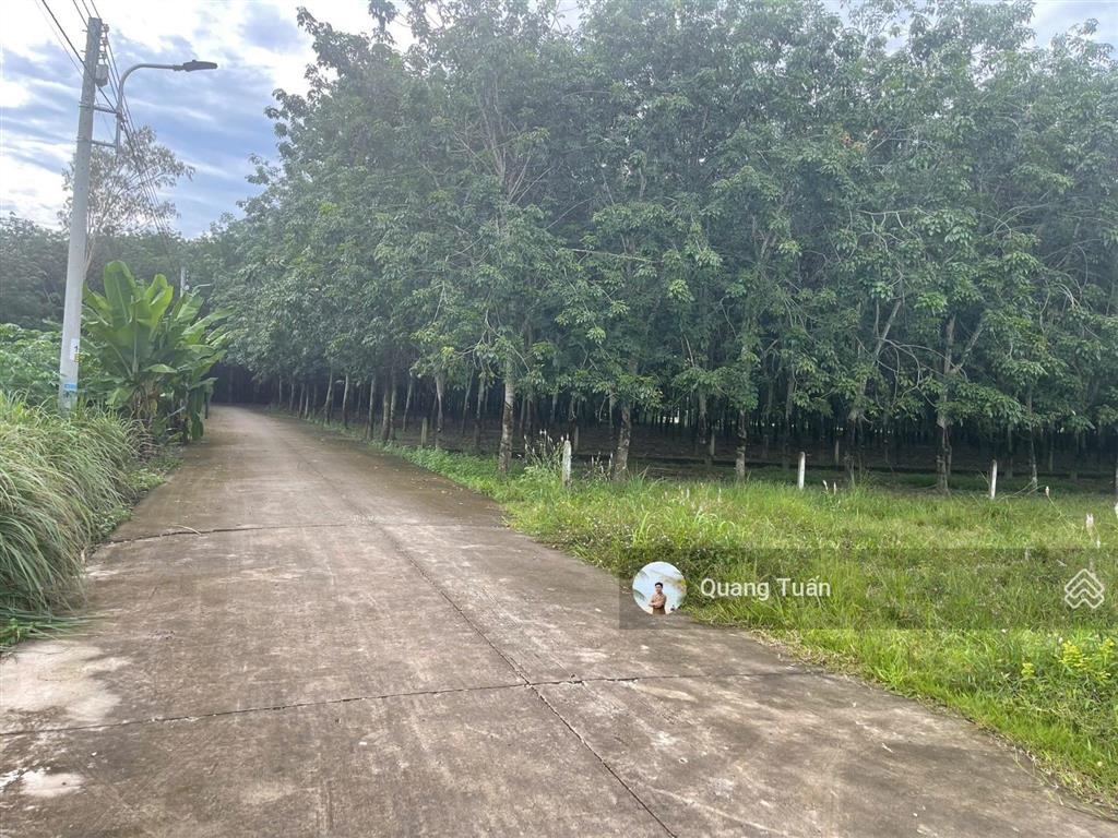 Cần bán lô đất 345,4m2 gần chợ an linh, dân cư đông, giá 450 triệu còn thương lượng, sổ hồng riêng