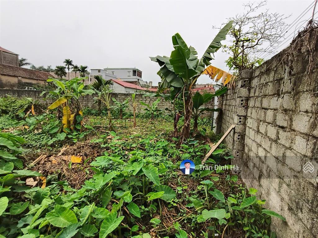 Đất hoa đường, trường thịnh, ứng hòa, 146m2, 3.8 tỷ hà nội.  0914 766 ***
