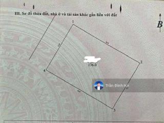 Đất hiếm, đất biệt thự vườn đào dt176m2, mt11m, 99 tỷ tây hồ
