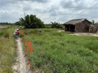 Ông anh cần tiền bán lại 1000m đường xe máy tờ 30 phú đông,nhơn trạch.có 30m mt đường  0906 949 ***