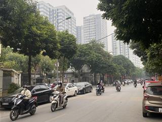 Mặt phố kinh doanh sầm uất , vỉa hè 8m , hạ tầng khu đô thị tây nam linh đàm , hoàng mai 55m x mt7m