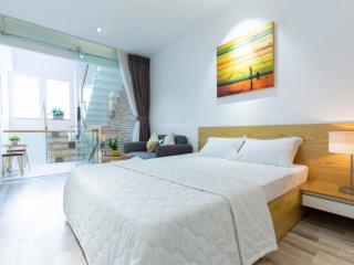 Chung cư mini  full nội thất ngay trung tâm quận 1 gần bitexco, bến thành, bùi viện,...