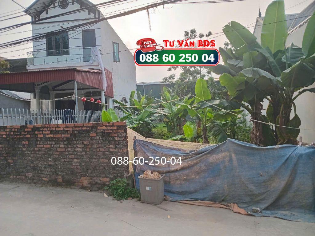 Bán mảnh đât 93m² khu Tiên Trượng, Thị trấn Xuân Mai, Hà Nội. GIÁ TỐT.