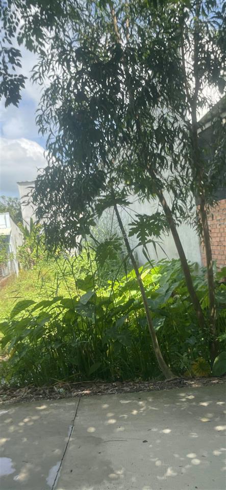 Đất ngộp giá hời 2,5 tỷ 362m2 full thổ, xã hựu thạnh, đức hòa, long an