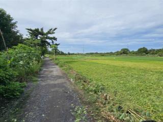 Chủ cần bán đất lúa 2755m2, giá siêu hời 3tr/m2 thương lượng, bình mỹ, củ chi