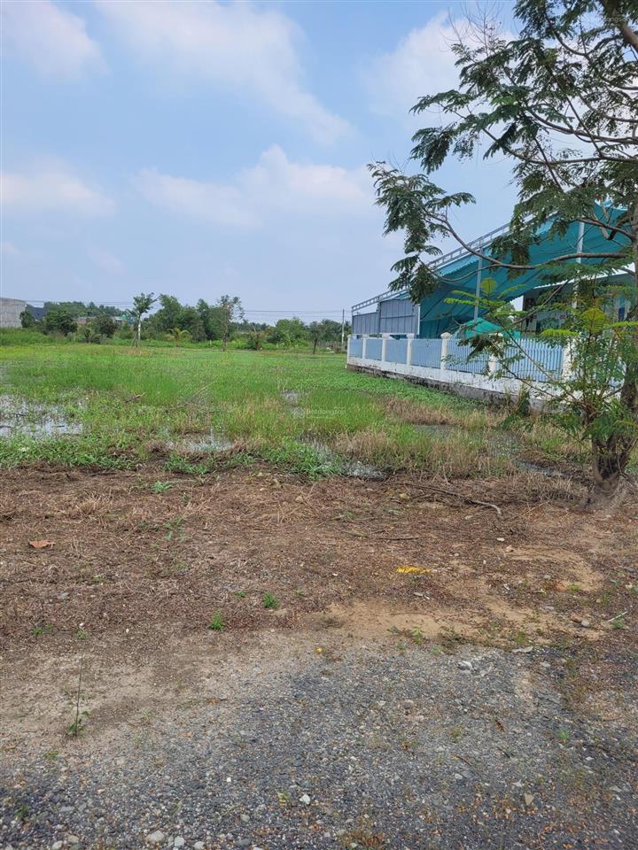 Bán đất đẹp 5x25m, full thổ cư, shr công chứng liền, đối diện ecity, mt đường nhựa, đức hòa, tn mới