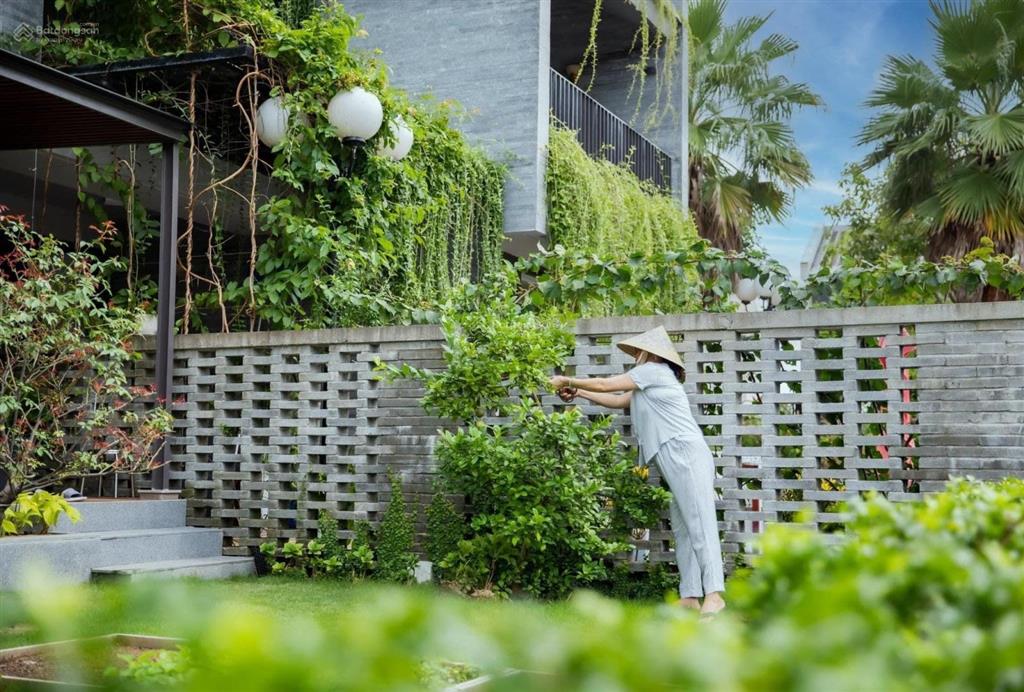 Chuyên giỏ hàng các căn giá tốt nhất casamia  vân anh sh1  03 casamia võng nhi hội an