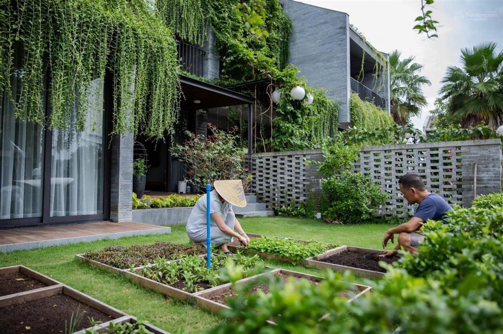 Chuyên giỏ hàng các căn giá tốt nhất casamia  vân anh sh1  03 casamia võng nhi hội an