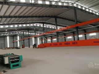 Cho thuê kho, nhà xưởng 300m2, 560m2 và 1000m2 tại liên chiểu, đường container giá từ 15 tr/th