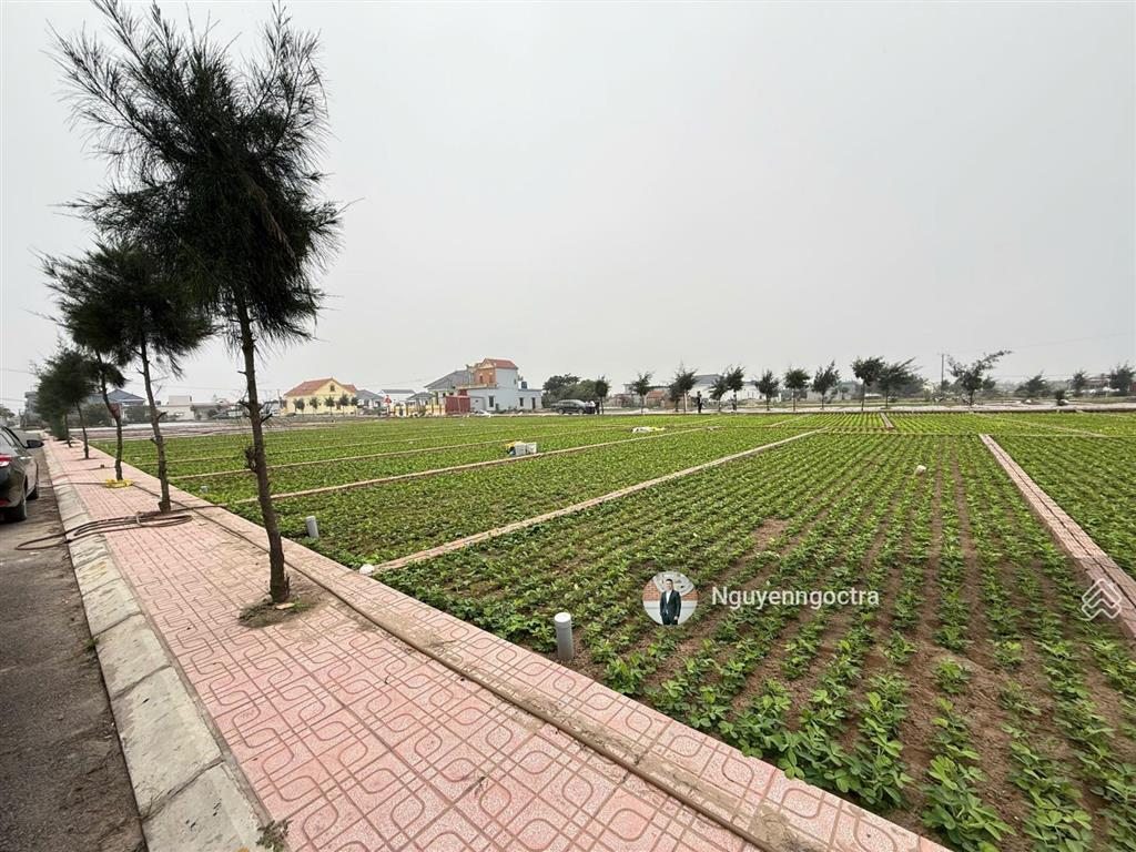 Cần bán gấp đất ven biển quất lâm 100m2 chỉ hơn 1.x tỷ.  0923 936 ***