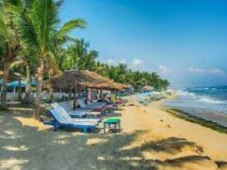 Trả nợ ngân hàng cần bán lỗ vài tỷ 400m2 đất ven sông ven biển phố cổ hội an  không qua môi giới