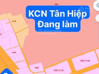 2600m2 ngay đường tân hiệp, ngang 25m cạnh kho logictic đang xây