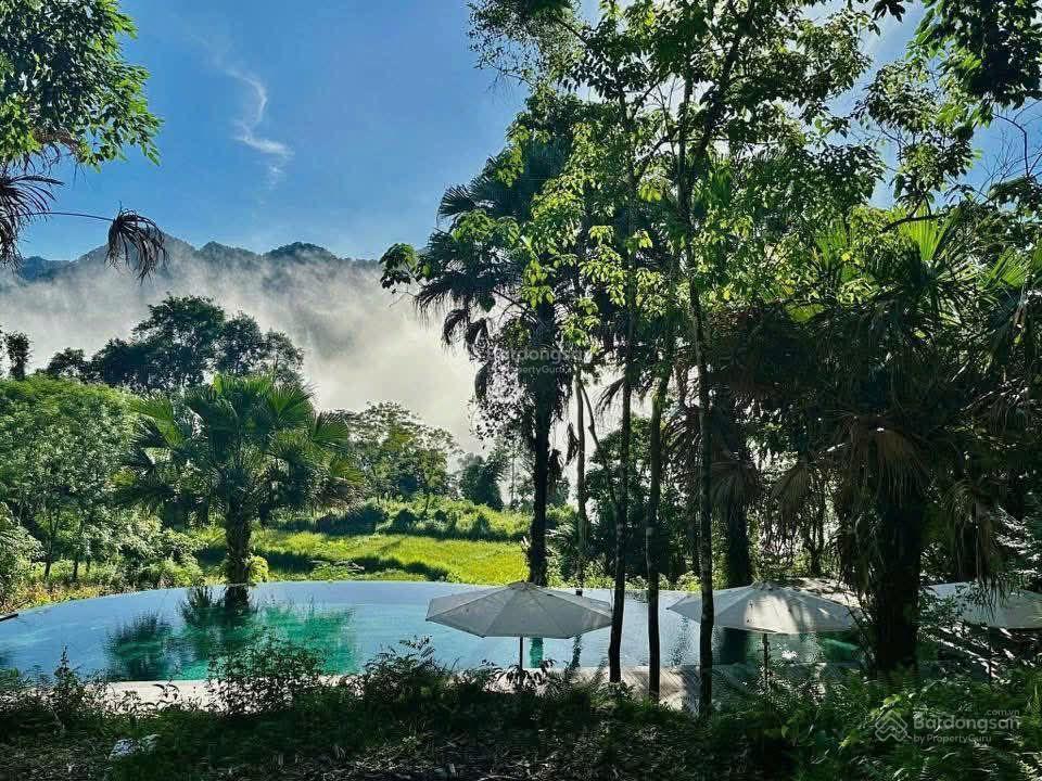 Bán 30 dinh thự hòa bình chỉ 4 tỷ 1000m2 sđcc, dòng tiền 30tr/ tháng, full dịch vụ nhà hàng, cafe