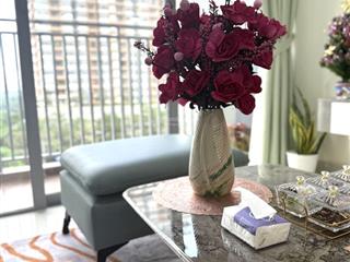 Celesta rise 89m2,2pn 2wc 18 triệu0904 133 ***