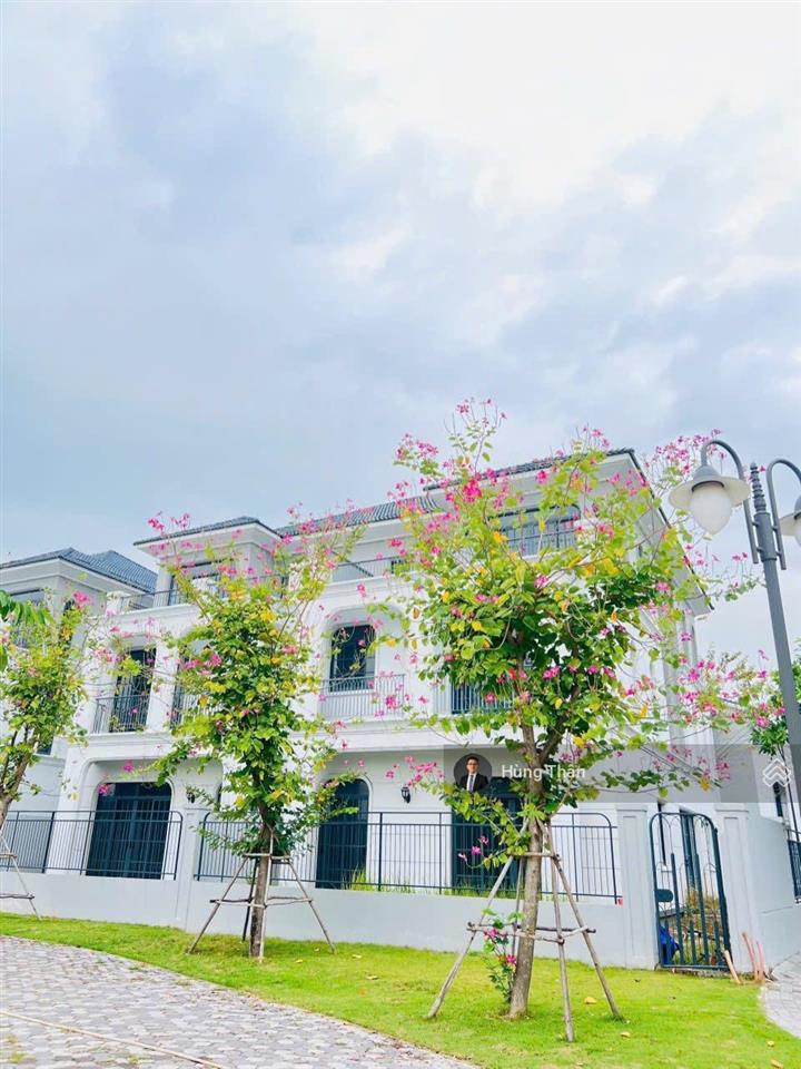 Chủ nhà gửi bán hơn 28 căn nhà phố biệt thự sông tại palm city, giá thật tháng 1/2026