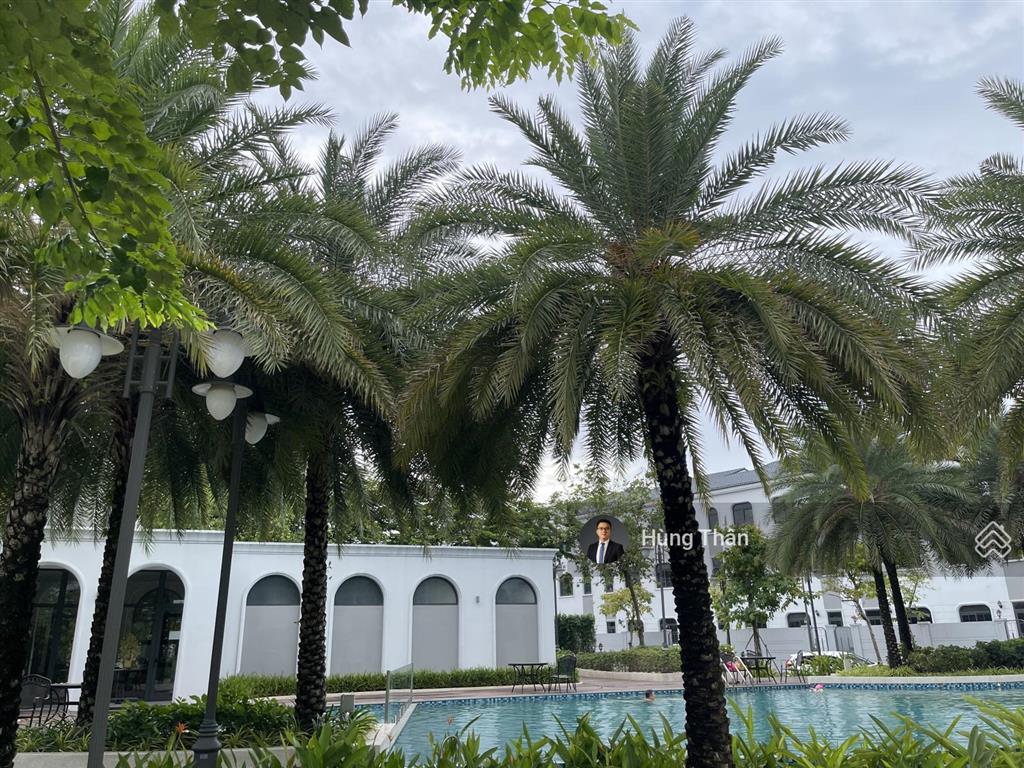 Cập nhật liên tục giỏ hàng palm city tháng 1/2026, nhà có sẵn, giá thật, đã có sổ hồng