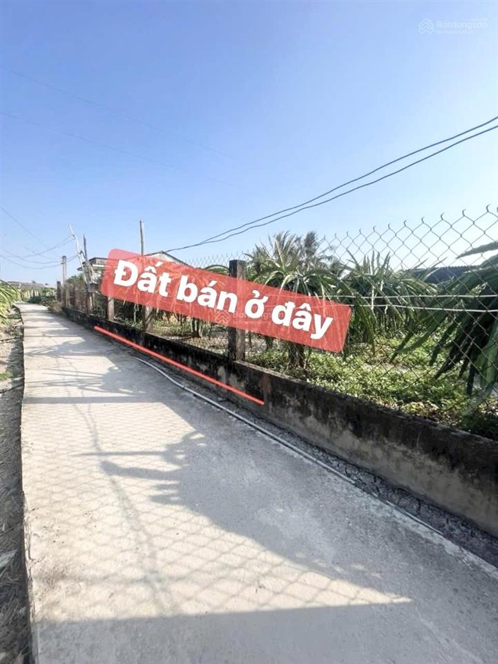 Bán 6 x 42 m thổ cư đường đan 2 m nền cao hơn mặt đường đất sạch cách nhựa nguyễn thông 500 m