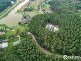 Bán biệt thự forest villa sát hồ, giá 3,15 tỷ có tl