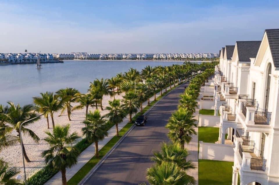 Bán tiền bán gấp shophouse ngọc trai ( sổ vĩnh viễn ) vị trí đắc địa trục đường 52m. đang cho thuê