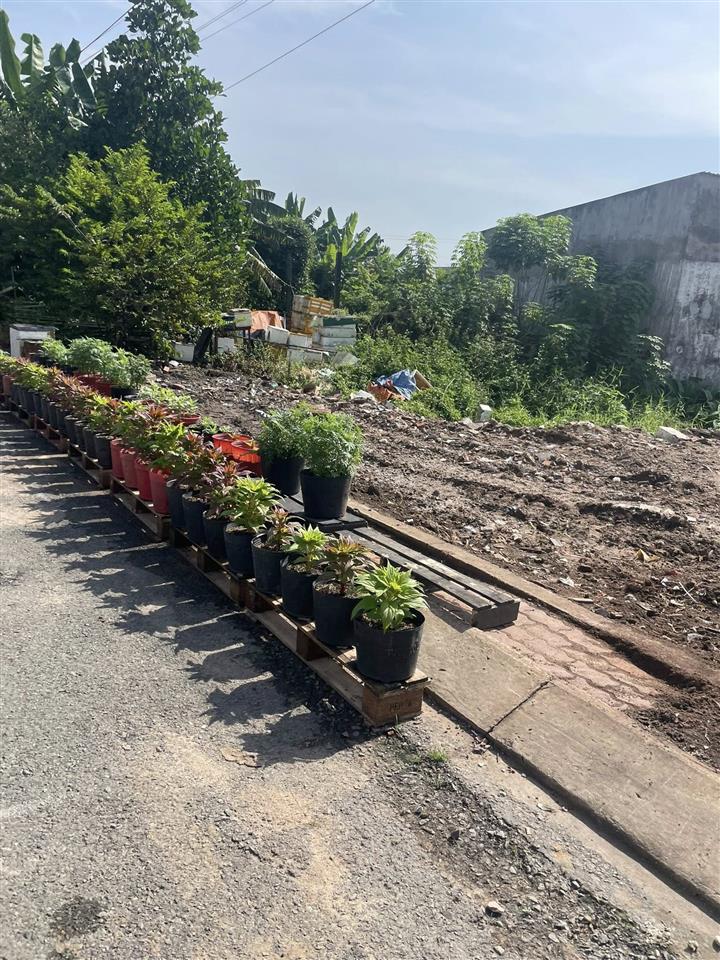 Bán đất mặt tiền đường 5x18m giá 5 tỷ Đường Đông Thạnh 7-3