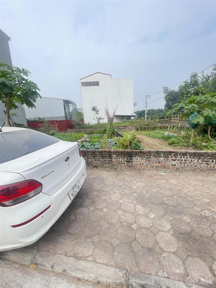 Vừa tiền, kinh doanh, oto tránh, bán đất trâu quỳ 40m, chủ nhà quân đội