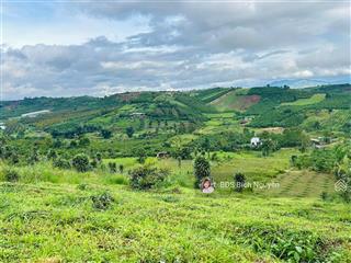 Chỉ 1 tỷ 990 cho lô đất 1.820m2 view đẹp lộc tân  p2 bảo lộc