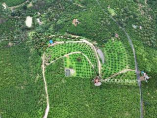 20.000m2 view săn mây tân lạc bảo lâm