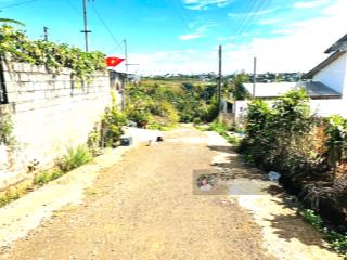 Nhà hẻm 23 trần quý cáp  phường 2