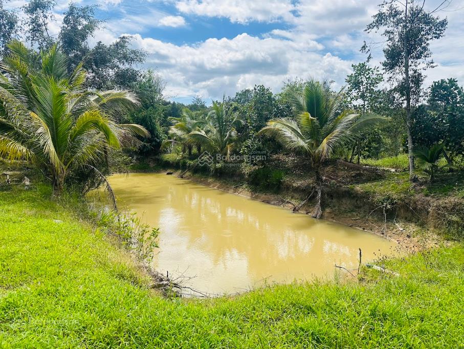 1,1 ha vườn cây ăn trái ngay sát trung tâm lộc nam  bảo lâm