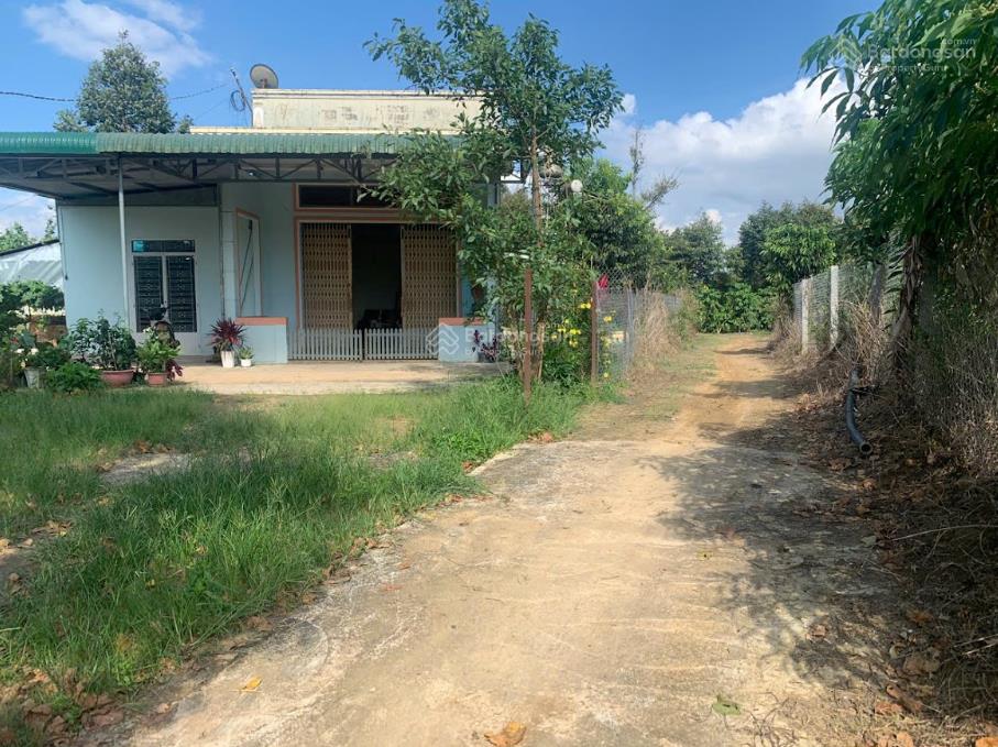 1,1 ha vườn cây ăn trái ngay sát trung tâm lộc nam  bảo lâm